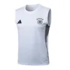 Alemania Chándal 2025 Blanco - Alemania Barata | escamisetasfutbol