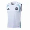 Argentina Chándal 2026 Blanco - Chándal Argentina | escamisetasfutbol