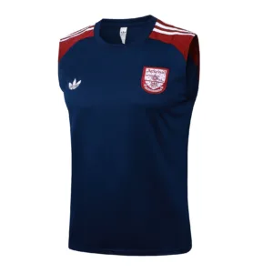 Arsenal Chándal 2025 2026 Azul - Maglia Arsenal | escamisetasfutbol