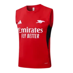 Arsenal Chándal 2025 2026 Rojo - Maglia Arsenal | escamisetasfutbol