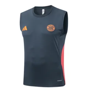 Bayern Múnich Chándal 2025 2026 Gris - Tuta Bayern Múnich | escamisetasfutbol