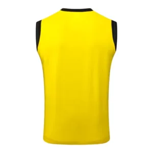 Borussia Dortmund Chándal 2025 2026 Amarillo - Chándal Borussia Dortmund | escamisetasfutbol