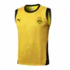 Borussia Dortmund Chándal 2025 2026 Amarillo - Chándal Borussia Dortmund | escamisetasfutbol