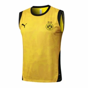 Borussia Dortmund Chándal 2025 2026 Amarillo - Chándal Borussia Dortmund | escamisetasfutbol
