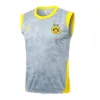 Borussia Dortmund Chándal 2025 2026 Gris - Chándal Borussia Dortmund | escamisetasfutbol