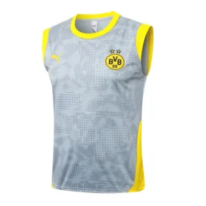 Borussia Dortmund Chándal 2025 2026 Gris - Chándal Borussia Dortmund | escamisetasfutbol