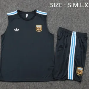 Argentina Conjunto 2026 Gris - Maglia Argentina 2026 | escamisetasfutbol