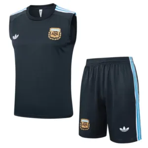Argentina Conjunto 2026 Gris - Maglia Argentina 2026 | escamisetasfutbol