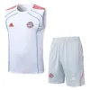 Bayern Múnich Conjunto 2025 2026 Blanco - Tuta Bayern Múnich | escamisetasfutbol