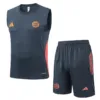 Bayern Múnich Conjunto 2025 2026 Gris - Tuta Bayern Múnich | escamisetasfutbol