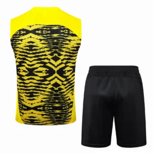 Borussia Dortmund Conjunto 2024 2025 Amarillo - Tuta Borussia Dortmund | escamisetasfutbol