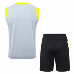 Borussia Dortmund Conjunto 2025 2026 Gris - Borussia Dortmund Barata | escamisetasfutbol