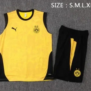 Borussia Dortmund Conjunto 2025 2026 Amarillo - Borussia Dortmund Barata | escamisetasfutbol