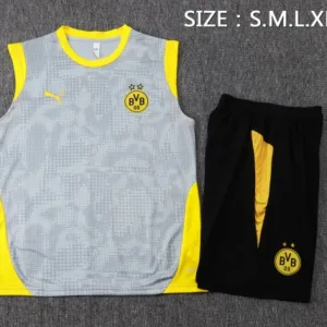 Borussia Dortmund Conjunto 2025 2026 Gris - Borussia Dortmund Barata | escamisetasfutbol