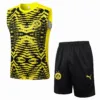 Borussia Dortmund Conjunto 2024 2025 Amarillo - Tuta Borussia Dortmund | escamisetasfutbol