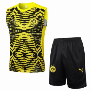 Borussia Dortmund Conjunto 2024 2025 Amarillo - Tuta Borussia Dortmund | escamisetasfutbol