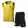 Borussia Dortmund Conjunto 2025 2026 Amarillo - Borussia Dortmund Barata | escamisetasfutbol