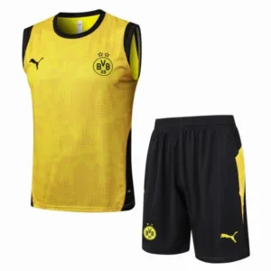 Borussia Dortmund Conjunto 2025 2026 Amarillo - Borussia Dortmund Barata | escamisetasfutbol