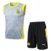 Borussia Dortmund Conjunto 2025 2026 Gris - Borussia Dortmund Barata | escamisetasfutbol