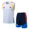 Colombia Conjunto 2026 Blanco - Colombia Barata | escamisetasfutbol