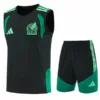 México Conjunto 2026 Verde - México Barata | escamisetasfutbol