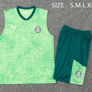 SE Palmeiras Conjunto 2025 2026 Verde - Tuta SE Palmeiras | escamisetasfutbol