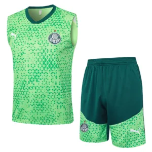 SE Palmeiras Conjunto 2025 2026 Verde - Tuta SE Palmeiras | escamisetasfutbol