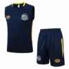 Santos Conjunto 2025 2026 Azul - Maglia Santos Neymar | escamisetasfutbol