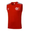 Flamengo Chándal 2025 2026 Rojo - Maglia Flamengo | escamisetasfutbol
