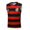 Flamengo Chándal 2025 2026 Rojo - Maglia Flamengo | escamisetasfutbol