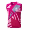 Flamengo Chándal 2025 2026 Rosa - Maglia Flamengo | escamisetasfutbol