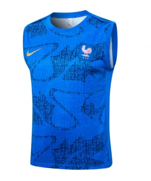Francia Chándal 2026 Azul - Maglia Francia 2026 | escamisetasfutbol