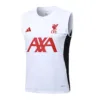 Liverpool Chándal 2025 2026 Blanco - Maglia Liverpool | escamisetasfutbol