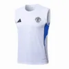 Manchester United Chándal 2025 2026 Blanco - Maglia Manchester United | escamisetasfutbol