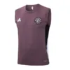 Manchester United Chándal 2025 2026 Púrpura - Maglia Manchester United | escamisetasfutbol