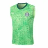 SE Palmeiras Chándal 2025 2026 Verde - Tuta SE Palmeiras | escamisetasfutbol