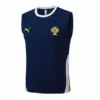 Portugal Chándal 2026 Azul - Portugal Barata | escamisetasfutbol