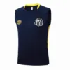 Santos Chándal 2025 2026 Azul - Maglia Santos Neymar | escamisetasfutbol