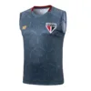 São Paulo Chándal 2025 2026 Gris - Maglia Sao Paulo | escamisetasfutbol