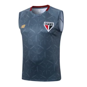 São Paulo Chándal 2025 2026 Gris - Maglia Sao Paulo | escamisetasfutbol