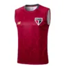 São Paulo Chándal 2025 2026 Rojo - Maglia Sao Paulo | escamisetasfutbol
