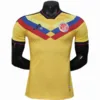 Colombia Camiseta Edición Jugadores 2026 Especial Amarilla - Camiseta Colombia | escamisetasfutbol
