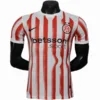 Inter Milán Camiseta Edición Jugadores 2025 2026 Especial Roja - Camiseta Serie A Inter Milán | escamisetasfutbol