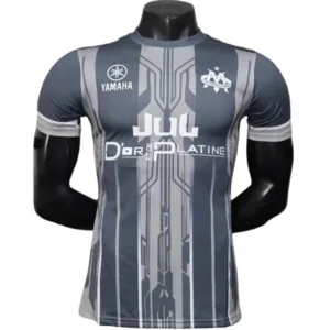 Marsella Camiseta Edición Jugadores 2025 2026 Especial Gris - Camiseta Marsella | escamisetasfutbol