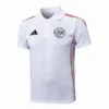 Ajax Polo 2025 2026 Blanco - Maglia Ajax | escamisetasfutbol