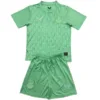 Everton Niños Conjunto 2025 2026 Portero Verde - Tuta Everton Niños | escamisetasfutbol