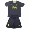 Everton Conjunto 2024 2025 Segunda Gris - Maglia Everton | escamisetasfutbol