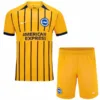Brighton & Hove Albion Niños Conjunto 2024 2025 Segunda Amarillo - Tuta Brighton & Hove Albion Niños | escamisetasfutbol