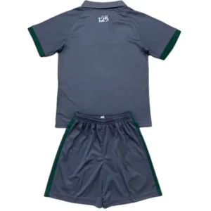 Cardiff City Niños Conjunto 2024 2025 Segunda Gris - Tuta Cardiff City Niños | escamisetasfutbol