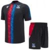 Crystal Palace Niños Conjunto 2024 2025 Segunda Negro - Tuta Crystal Palace Niños | escamisetasfutbol
